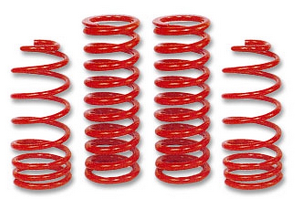 Mac Performance Mustang PROGRESSIVE RATE SPRINGS